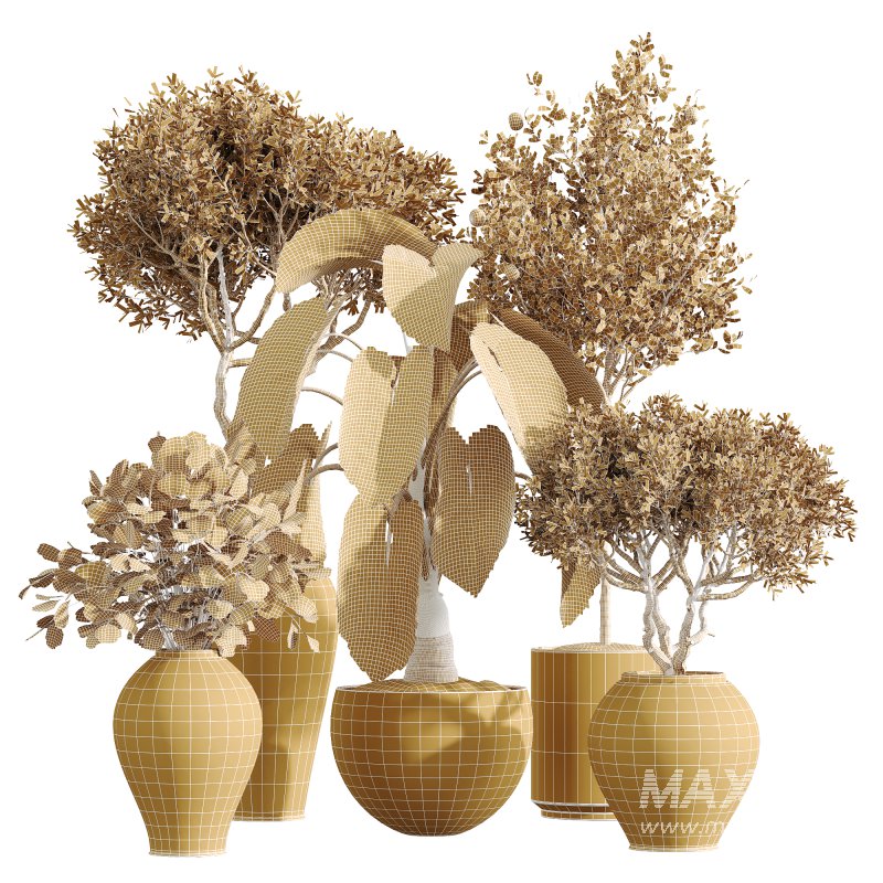 AV Indoor Plants Set 228 Mission Olive and Branche Decorative and Alocasia Elephant and Fruit Orange Tree - Image 3