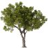 Tree Set31-Urban tree - Thumbnail 1