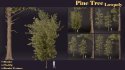 SJ lowpoly pine tree set 01 - Thumbnail 8