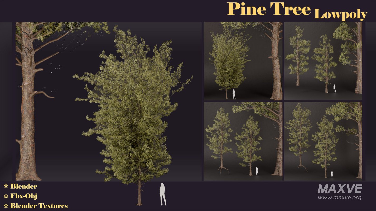 SJ lowpoly pine tree set 01 - Image 8