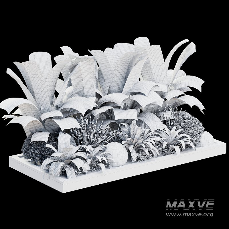 Outdoor Plant 40 - Image 3