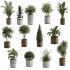 13 High Quality 3D Pot plants - Thumbnail 8
