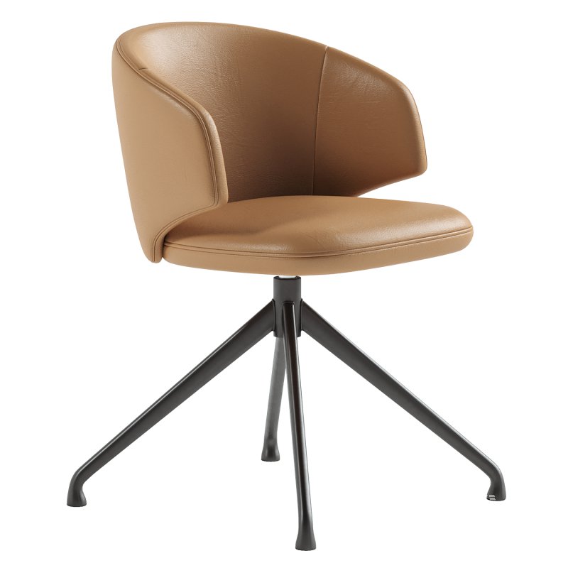 Balado dining chair - Image 5