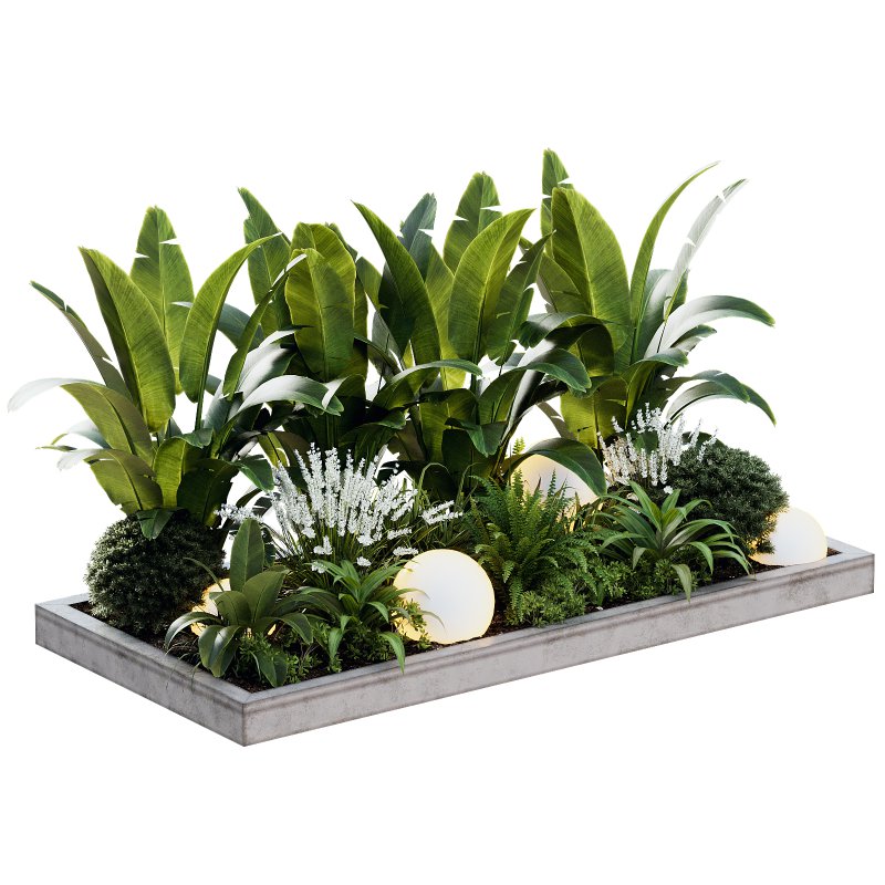 Outdoor Plant 40 - Image 1