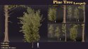 SJ lowpoly pine tree set 01 - Thumbnail 4