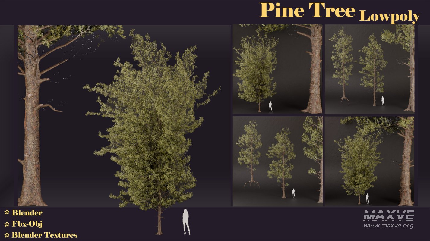 SJ lowpoly pine tree set 01 - Image 4