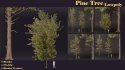 SJ lowpoly pine tree set 01 - Thumbnail 6