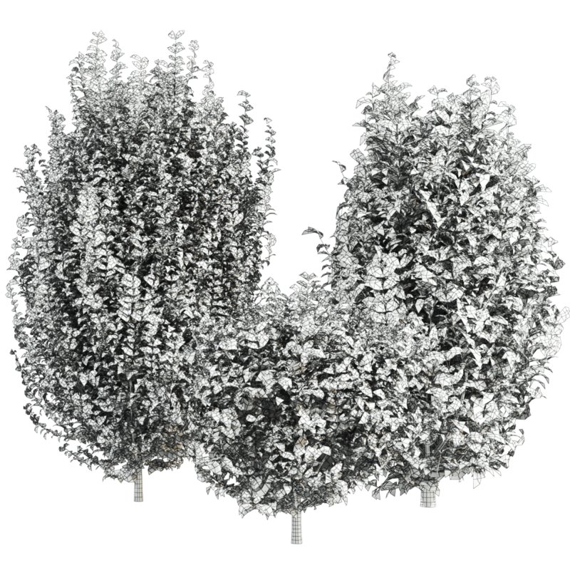 bush plants set - Image 6