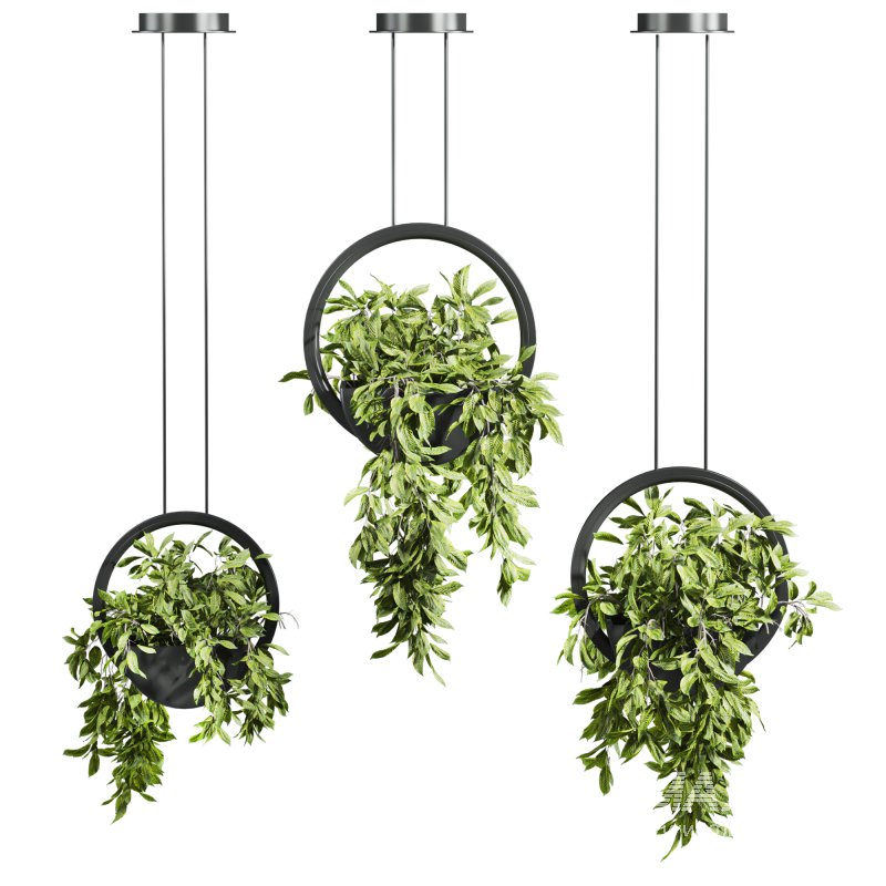 plants set - Image 1