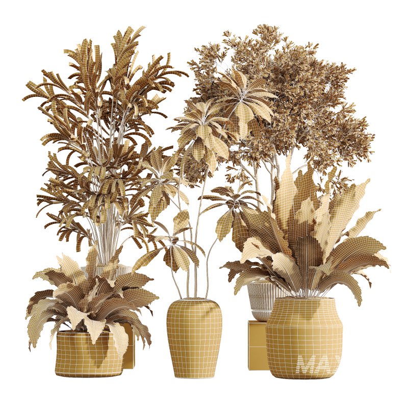 AV Indoor plants set 210 Mission Olive and Ficus Cyathistipula and Lily Domino and Lutescens Areca Palm - Image 12