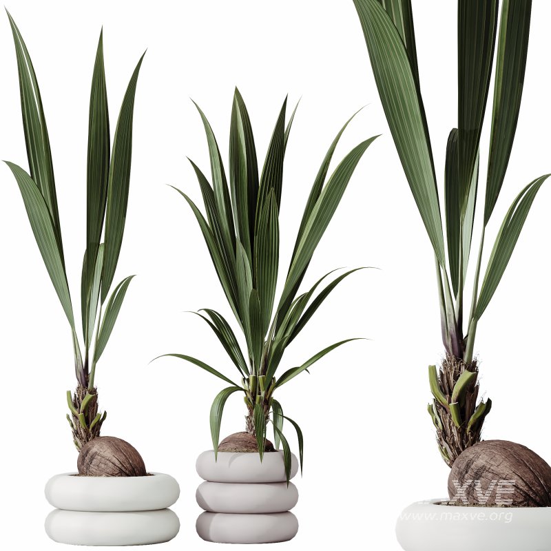 ntal olive—making this collection a visual statement for modern interior design. - Image 3