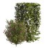 bush plants set - Thumbnail 3
