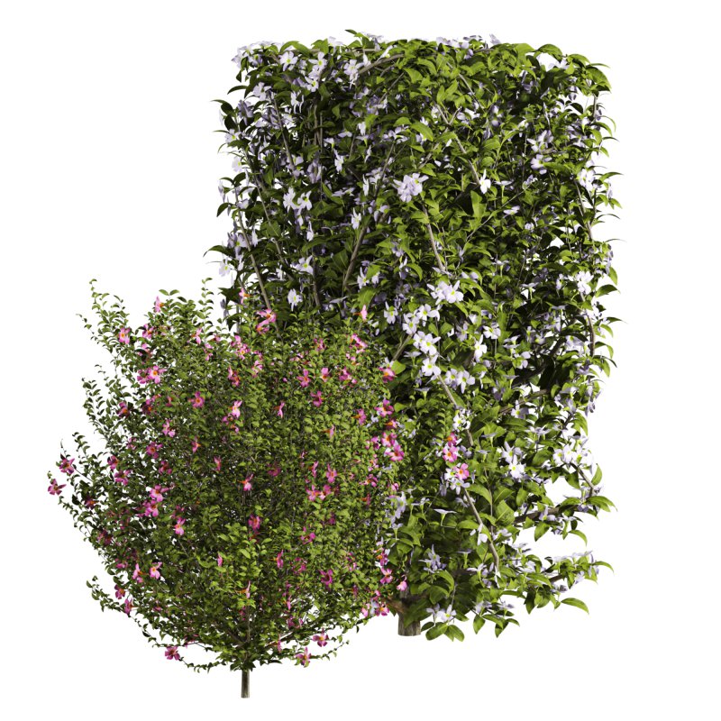 bush plants set - Image 3