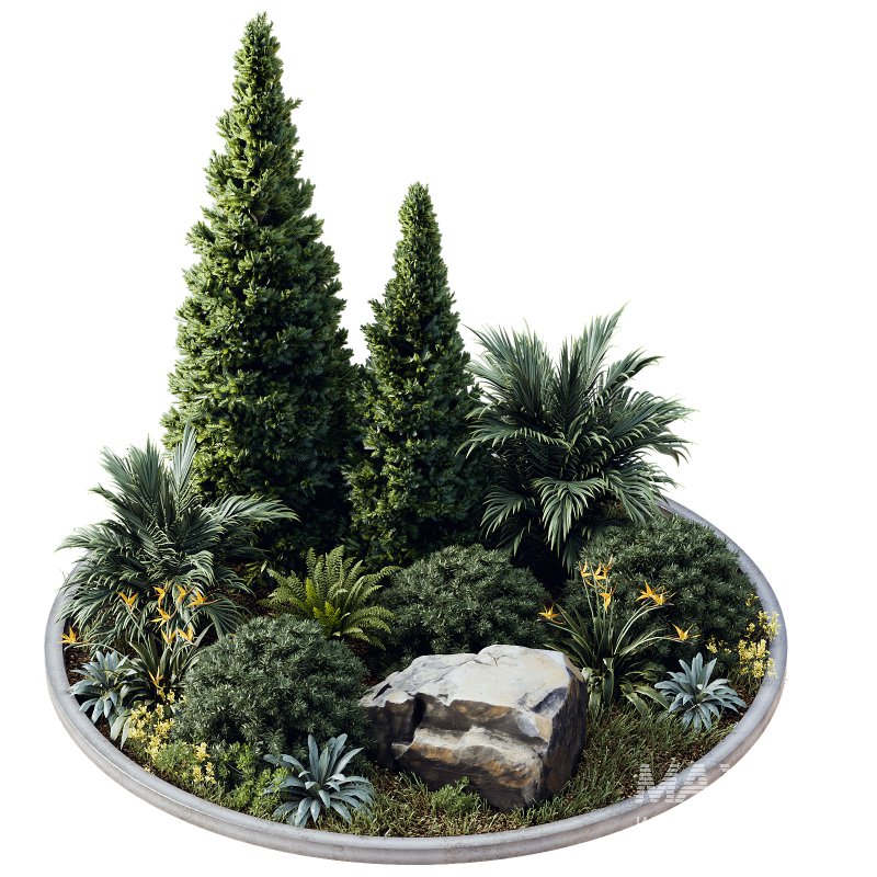 Outdoor Plant 41 - Image 1