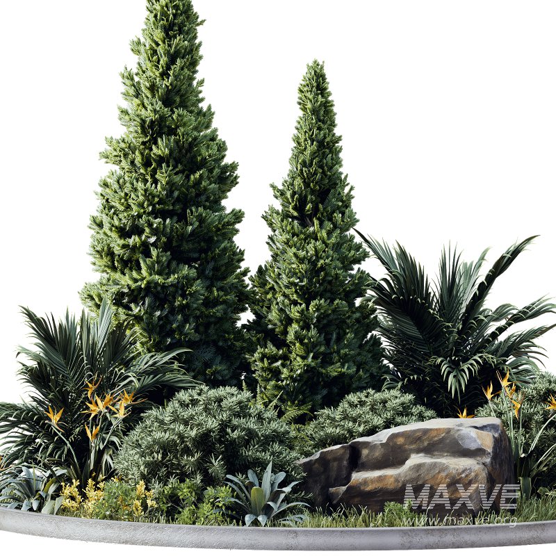 Outdoor Plant 41 - Image 3