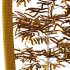 Bamboo Bambusoideae Tree 03 - Thumbnail 3