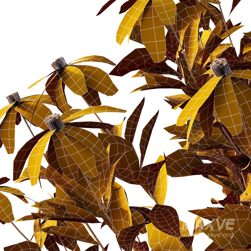 Different bush 05 - Image 2