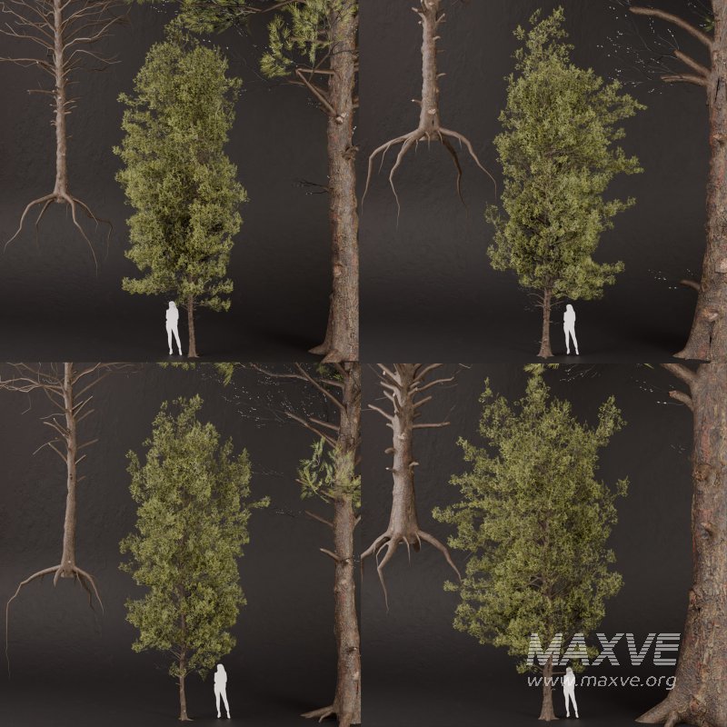 SJ-lowpoly pine tree set 02 - Image 7