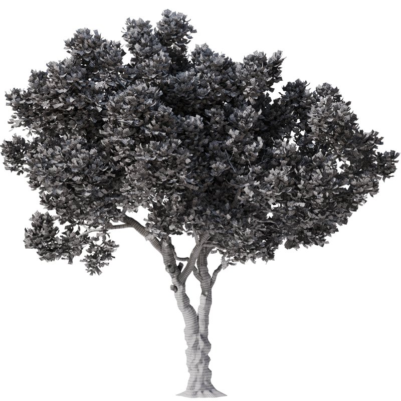 Tree Set31-Urban tree - Image 3