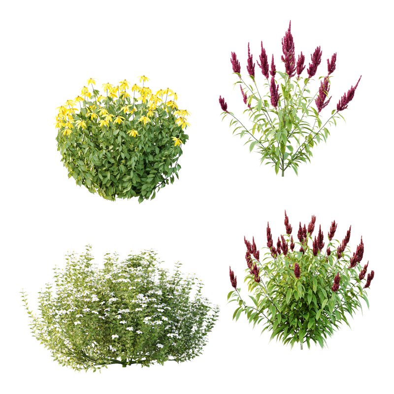 Different bush 08 - Image 4