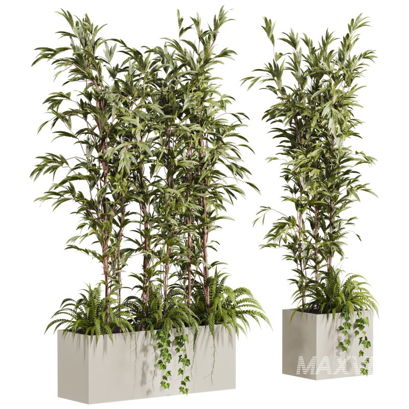 plants set - Image 2