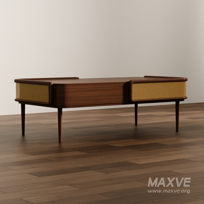 Mid-Century Modern Coffee Table - Image 4