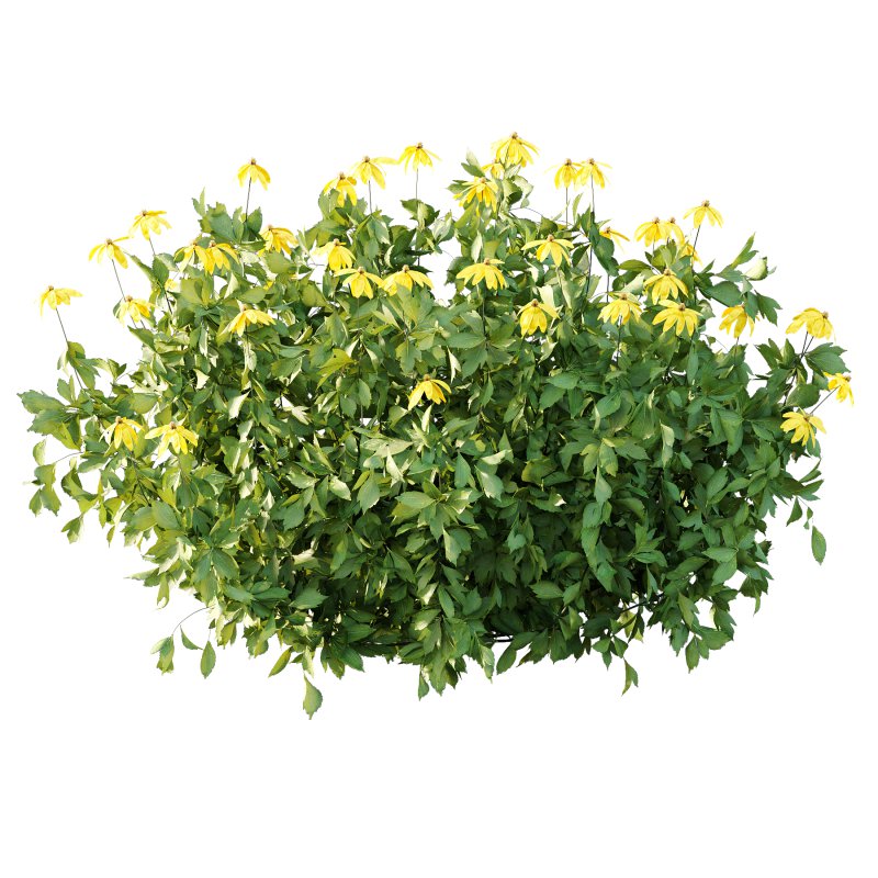 Different bush 06 - Image 4