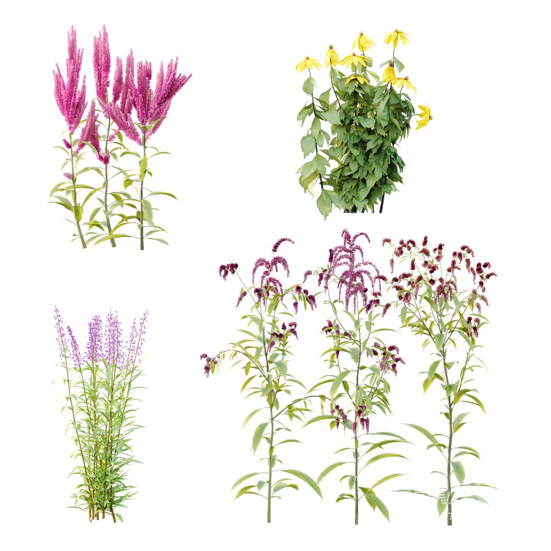 Different Grass 03 - Image 1