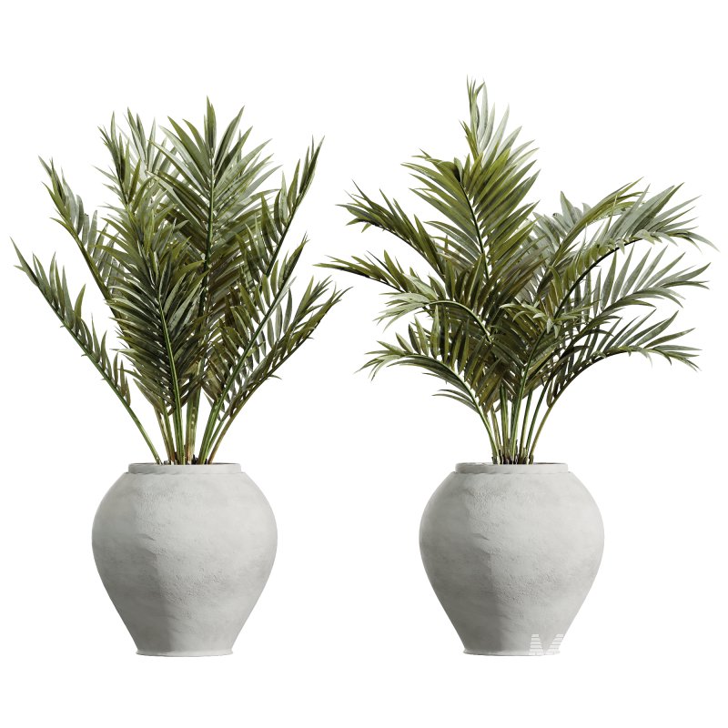 AV Indoor Plants Set 231 Dypsis Palm and Fruit Orange Tree and Mission Wilsonii Olive and Areca Palm - Image 1