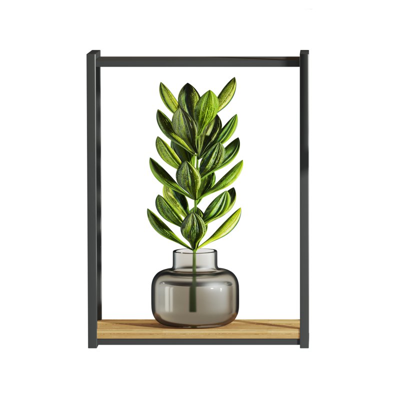 plants set on shelf - Image 1
