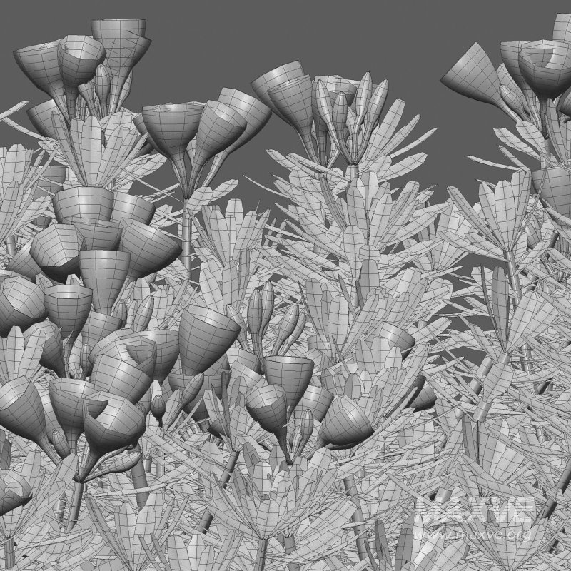 Daphne x transatlantica Blafra – Eternal Fragrance 01 - Image 6