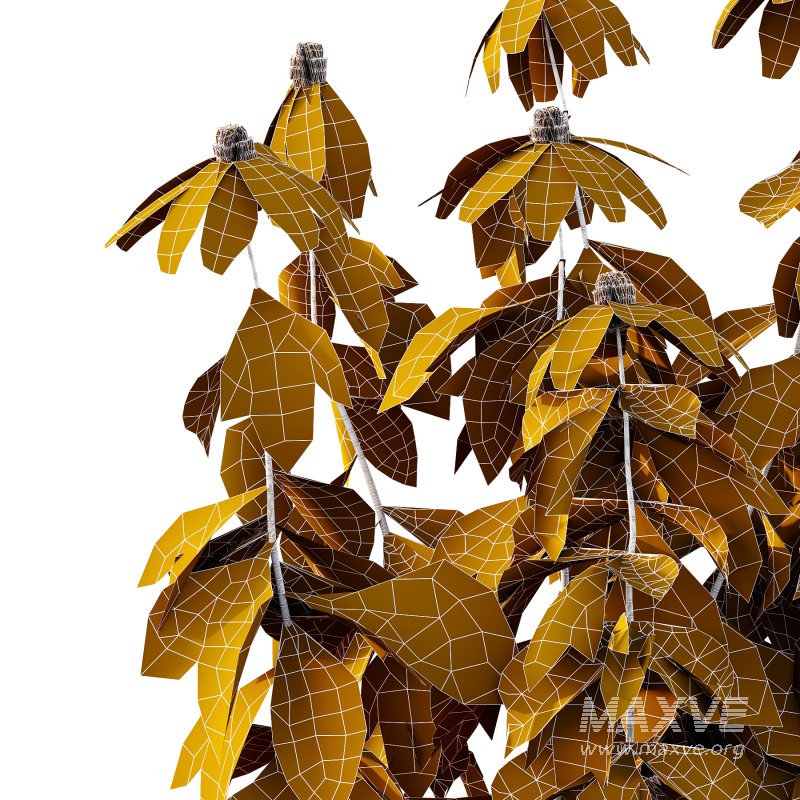 Different Grass 03 - Image 5