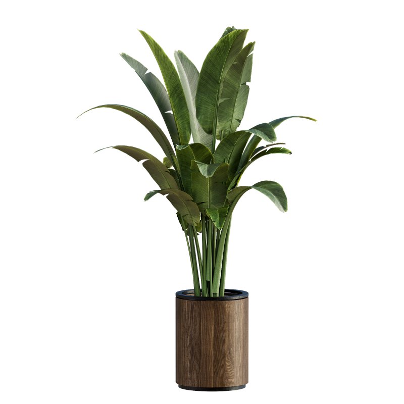 13 High Quality 3D Pot plants - Image 14