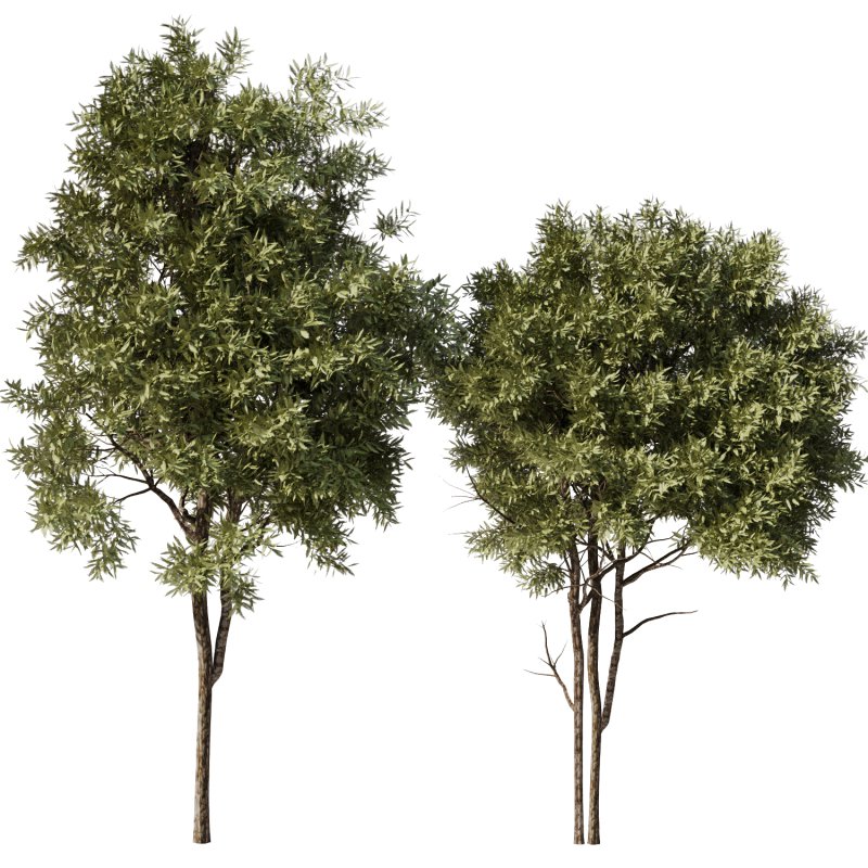 Tree Set32-Urban tree - Image 1