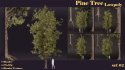 SJ-lowpoly pine tree set 02 - Thumbnail 4