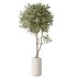 AV Indoor Plant Set 216 Olive Artificial Dracaena Warneckii Lemon Calathea Lutea Areca Palm - Thumbnail 1