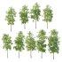 Bamboo Bambusoideae Tree 02 - Thumbnail 4