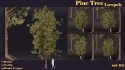 SJ-lowpoly pine tree set 02 - Thumbnail 5