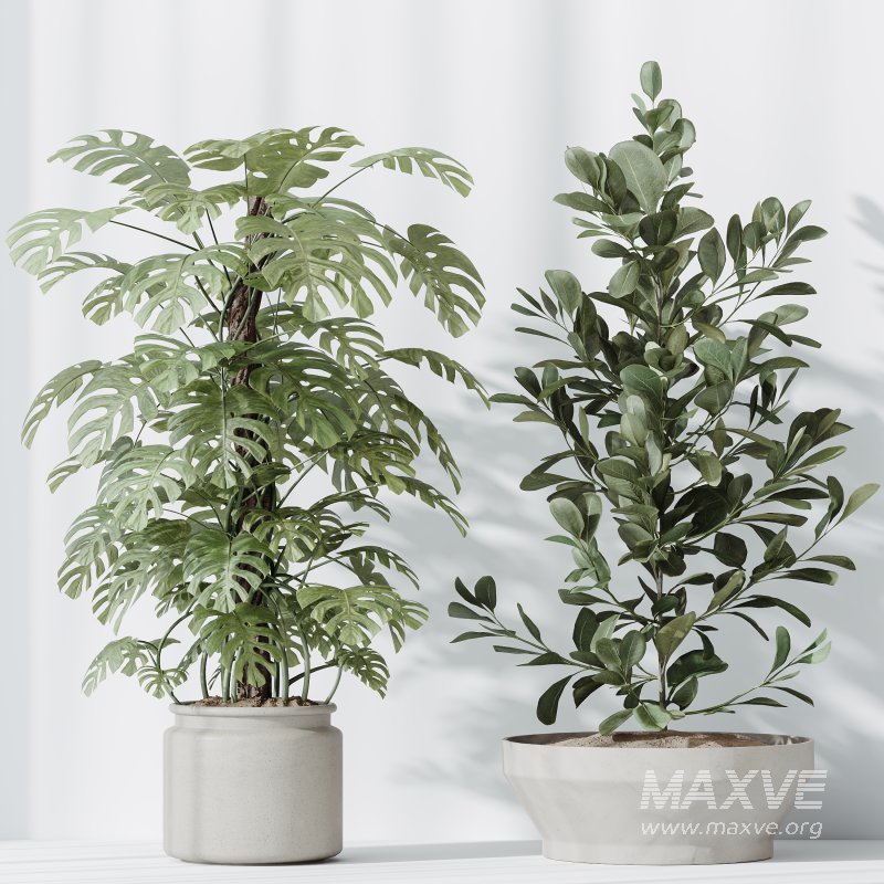 ntal olive—making this collection a visual statement for modern interior design. - Image 6