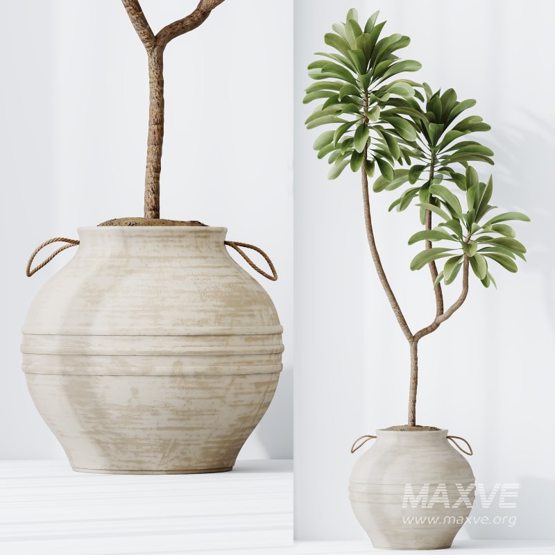 The AV Indoor Plants Set 219 - Image 3