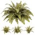 Tropical Crocodile Fern Decorative Bush - Thumbnail 1