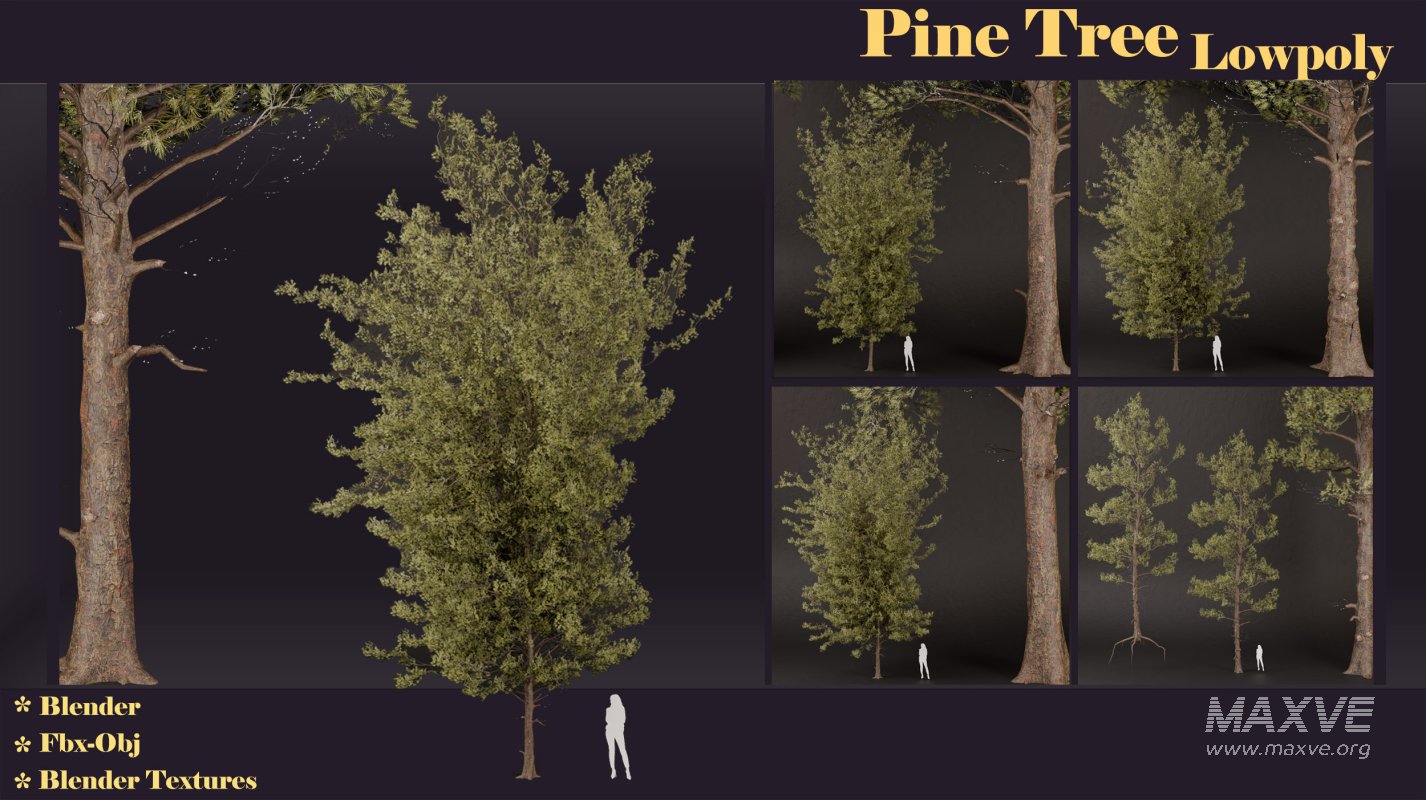 SJ lowpoly pine tree set 01 - Image 5