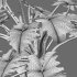 Philodendron undulatum – 02 - Thumbnail 4