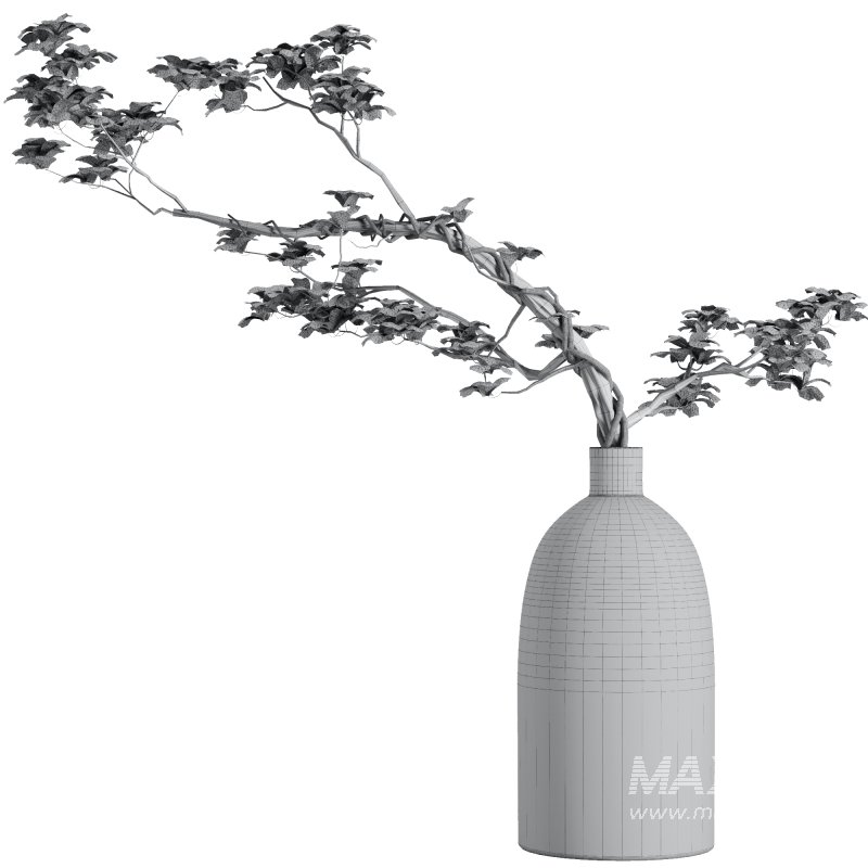 Dry branch set51 - Image 5