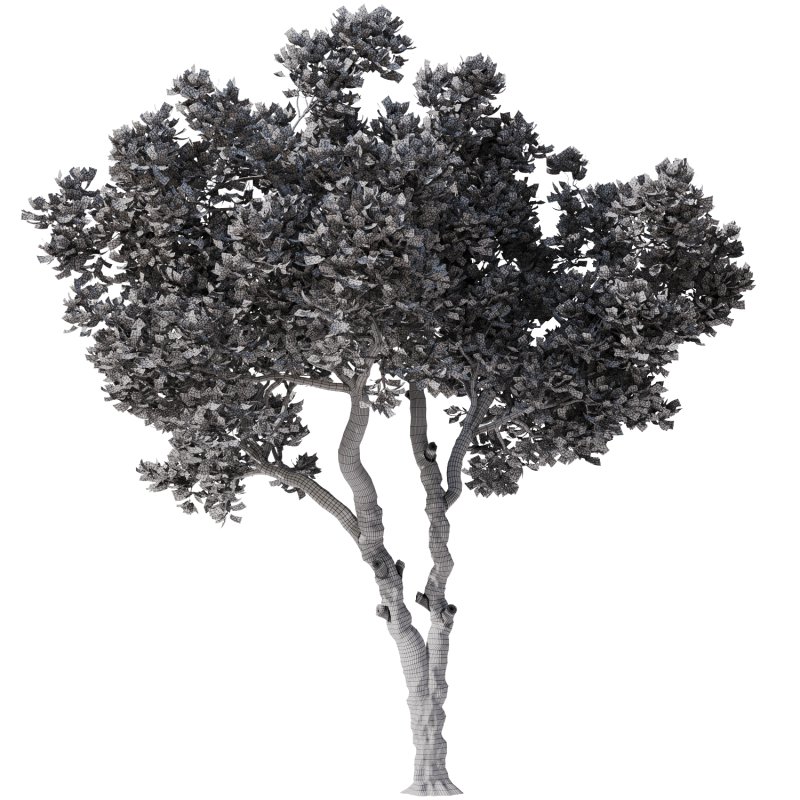 Tree Set30-Urban tree - Image 3