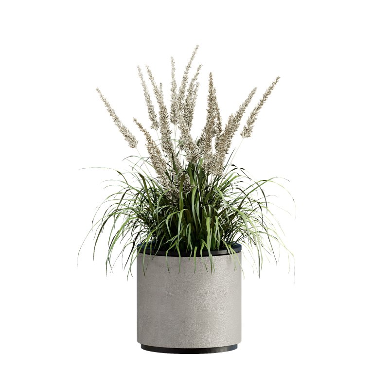 13 High Quality 3D Pot plants - Image 11