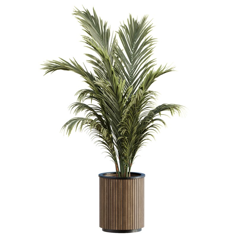 13 High Quality 3D Pot plants - Image 2