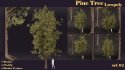 SJ-lowpoly pine tree set 02 - Thumbnail 1