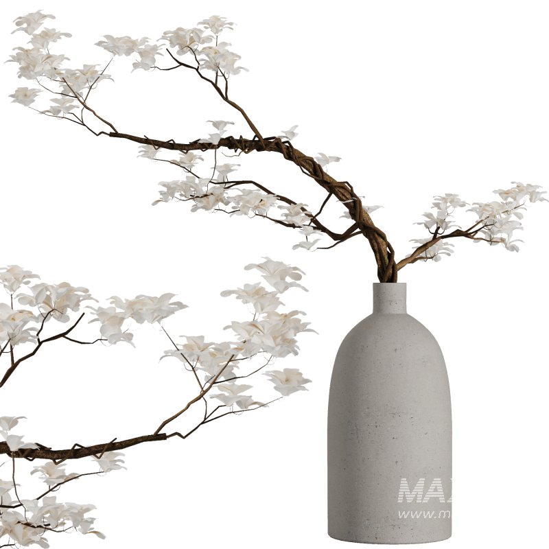 Dry branch set51 - Image 1