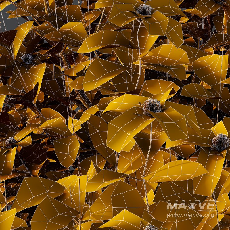 Different bush 08 - Image 7